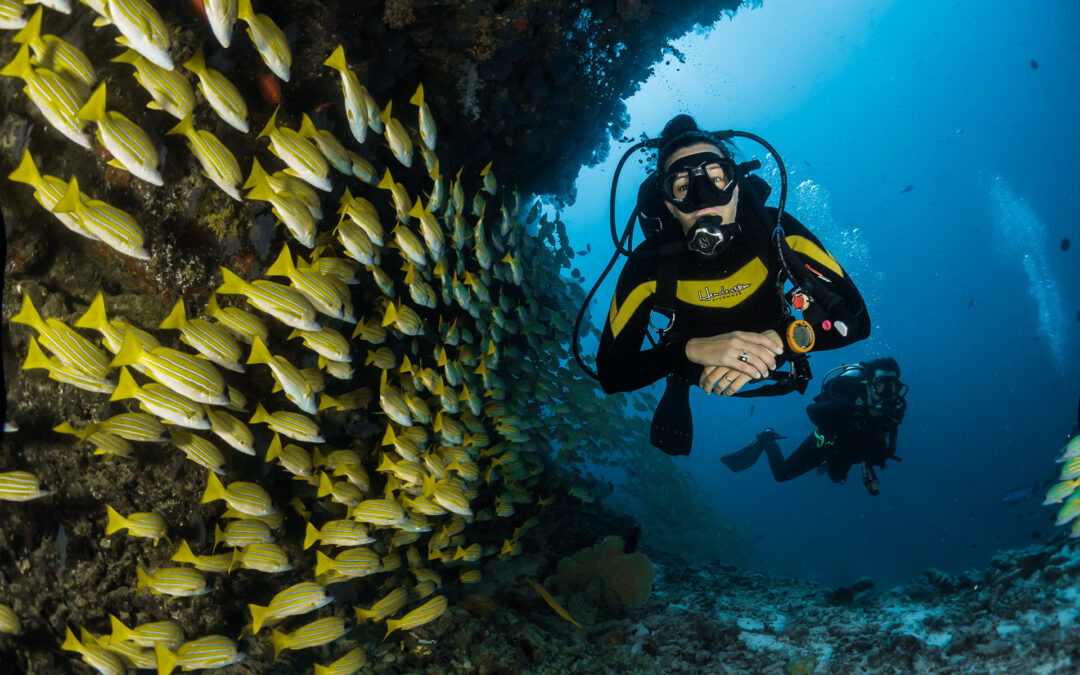 Huvafen Fushi Scuba Diving